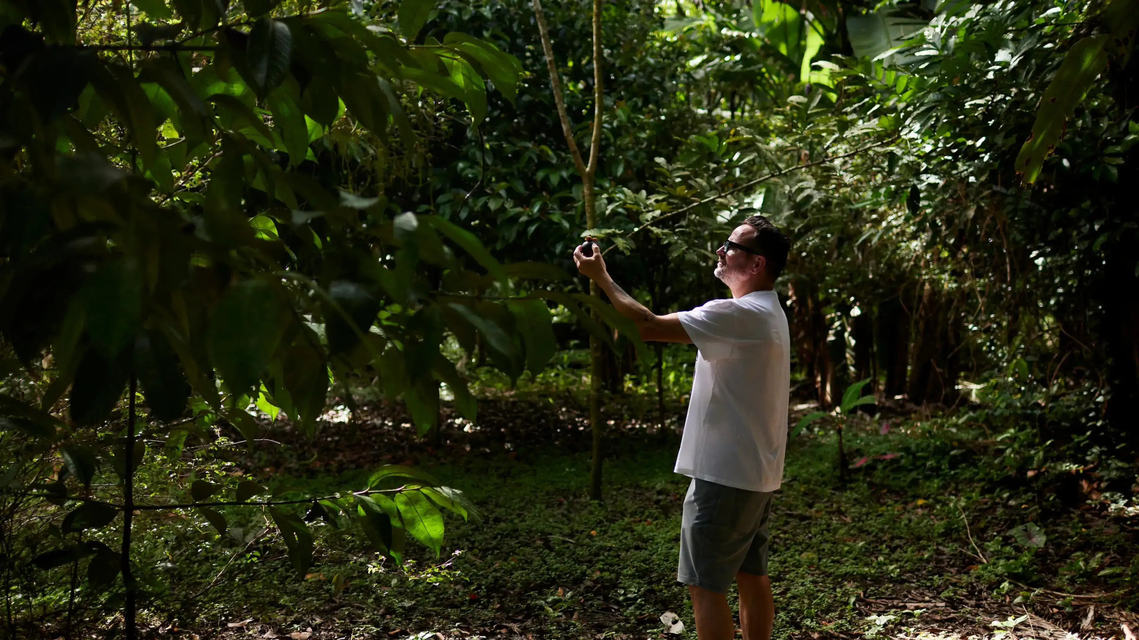 Memories from Brazil: Belem farm.