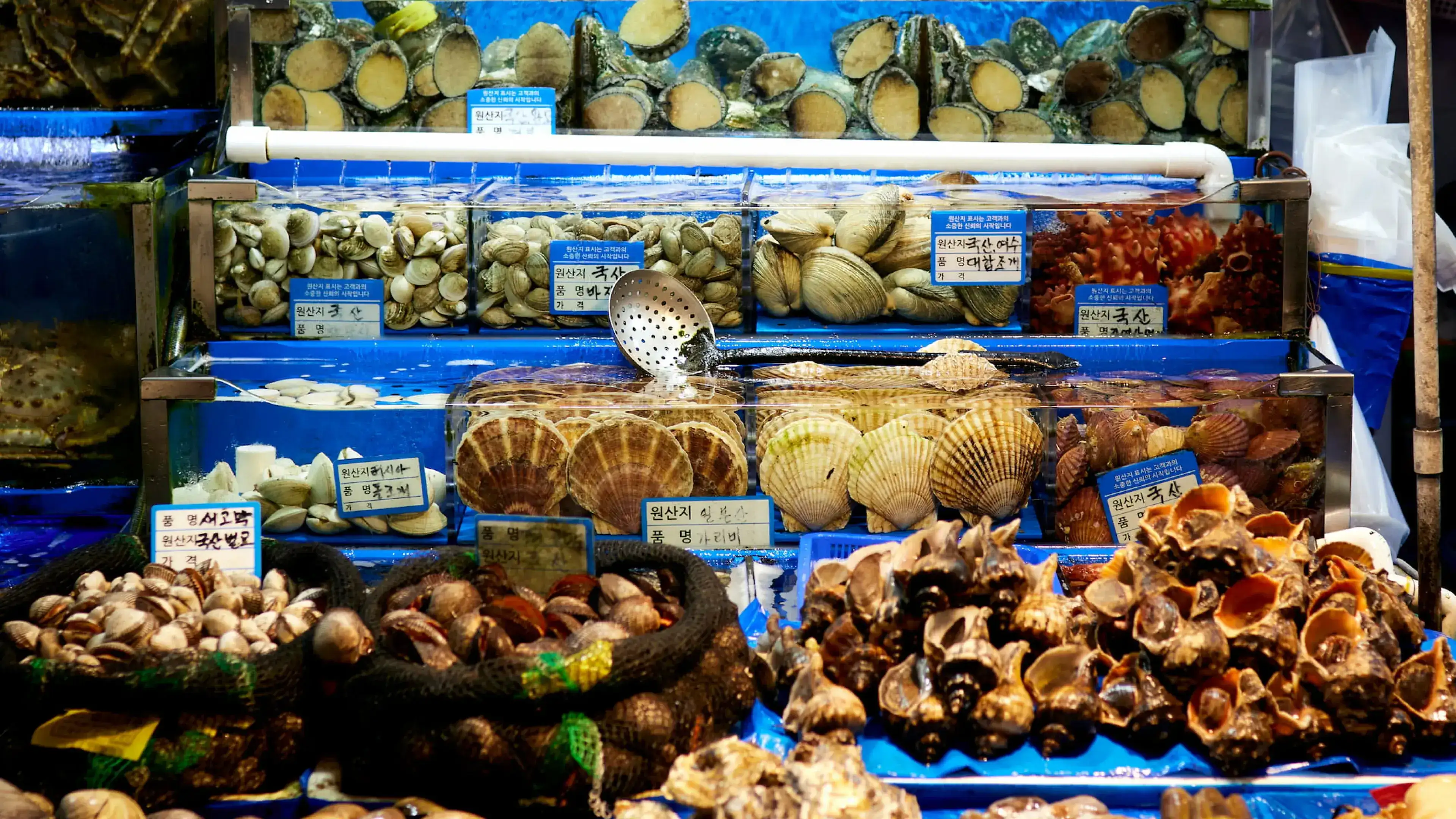 Ocean's Asian food journey: Markets in Korea.