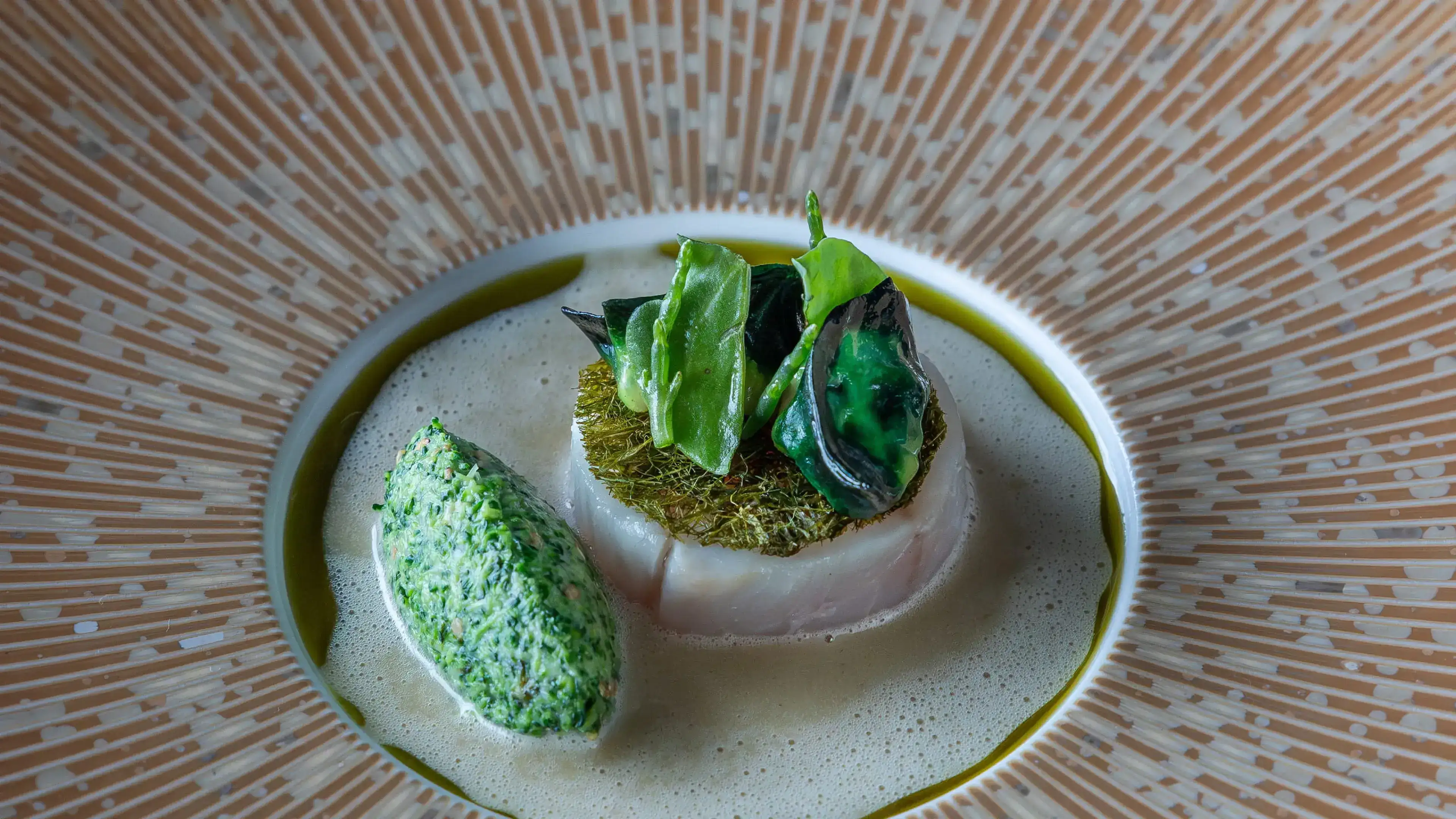 Ocean Dish: No Tokyo Drift