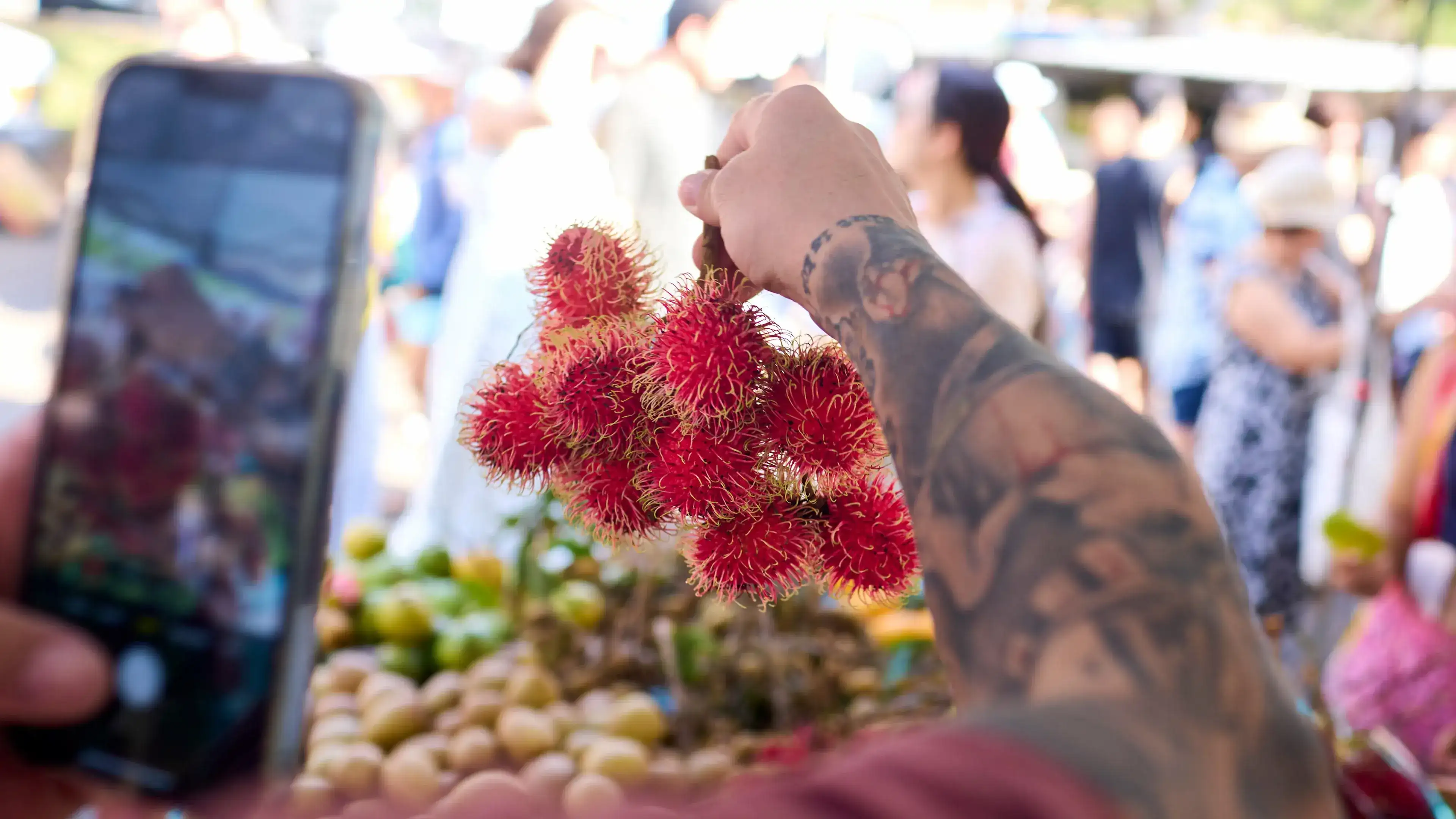 Tastes of Discovery Trip: Hawai