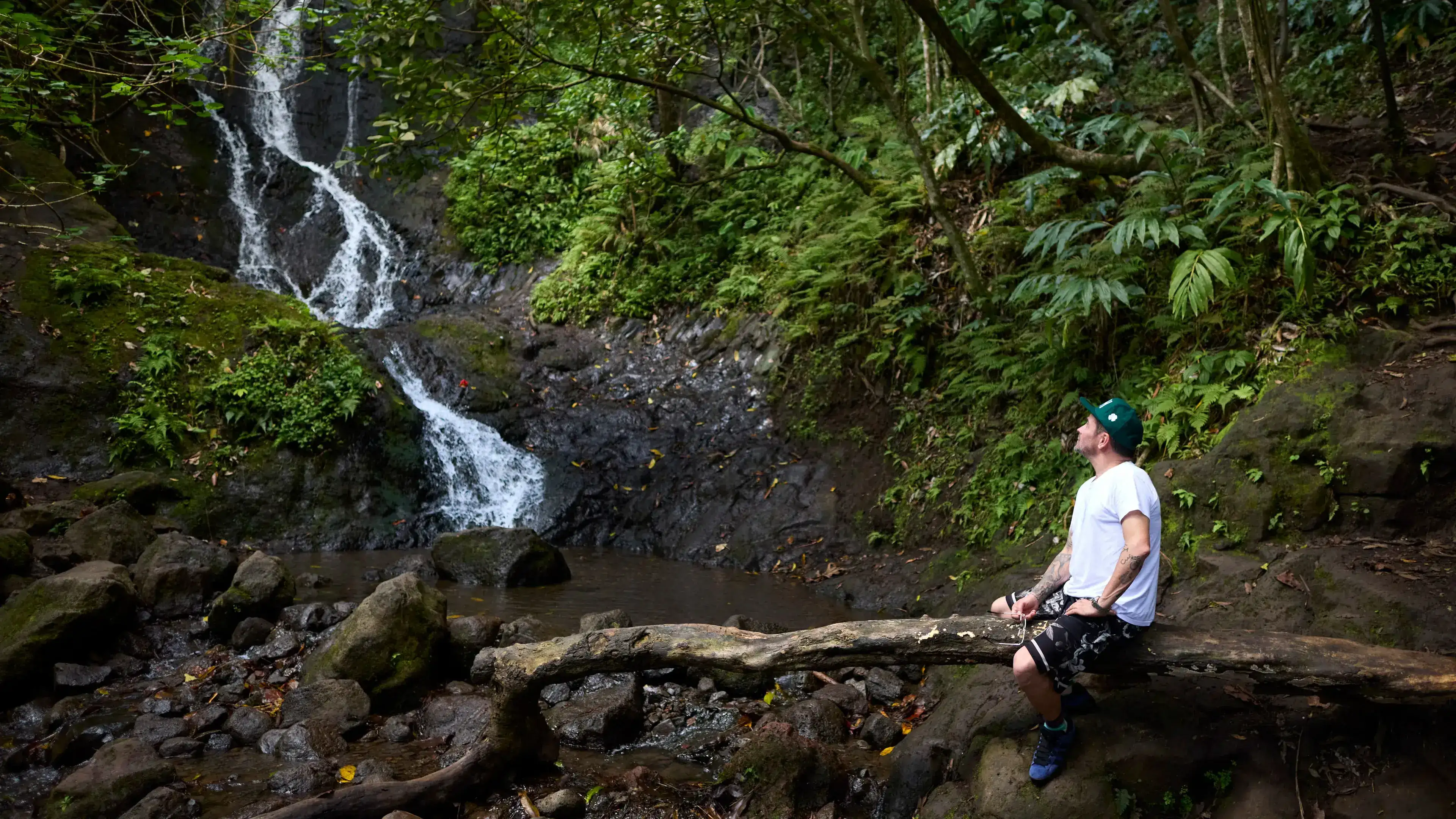 Tastes of Discovery Trip: Hawai