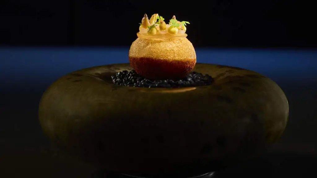 Ocean dish 2025