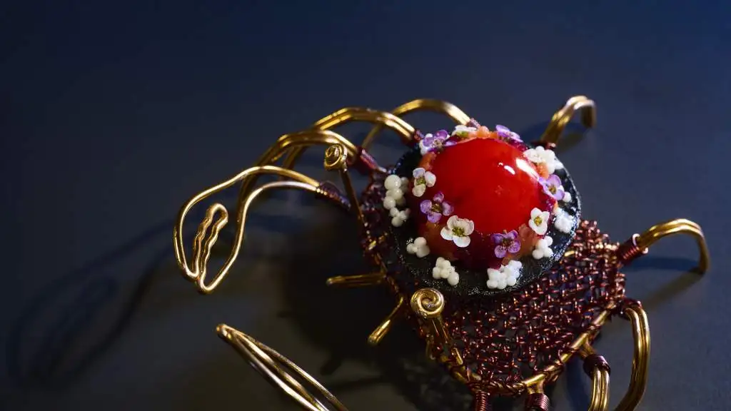 Ocean dish 2025