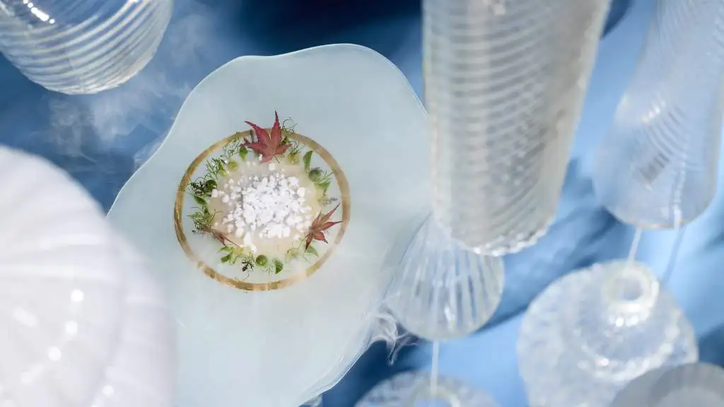 Ocean dish 2025