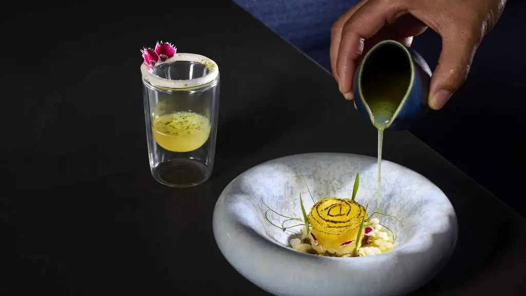 Ocean dish 2025